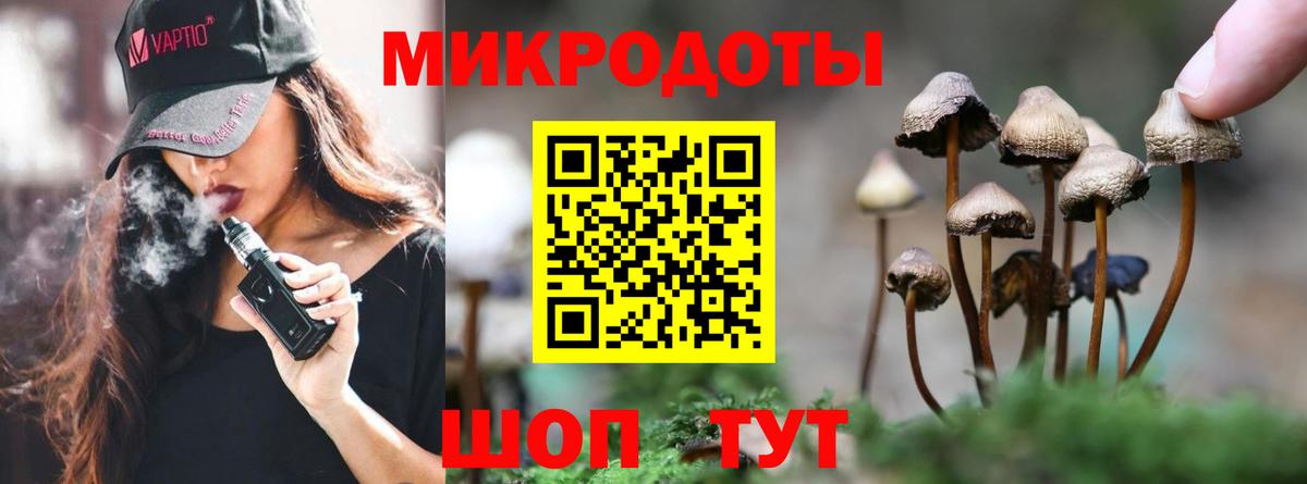 Шебекино  Псилоцибиновые грибы мицелий  Вход с VPN 